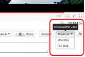 Video DownloadHelper 5
