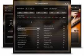 NI Session Guitarist Strummed Acoustic 2