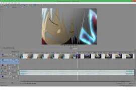 Sony Vegas Pro 13